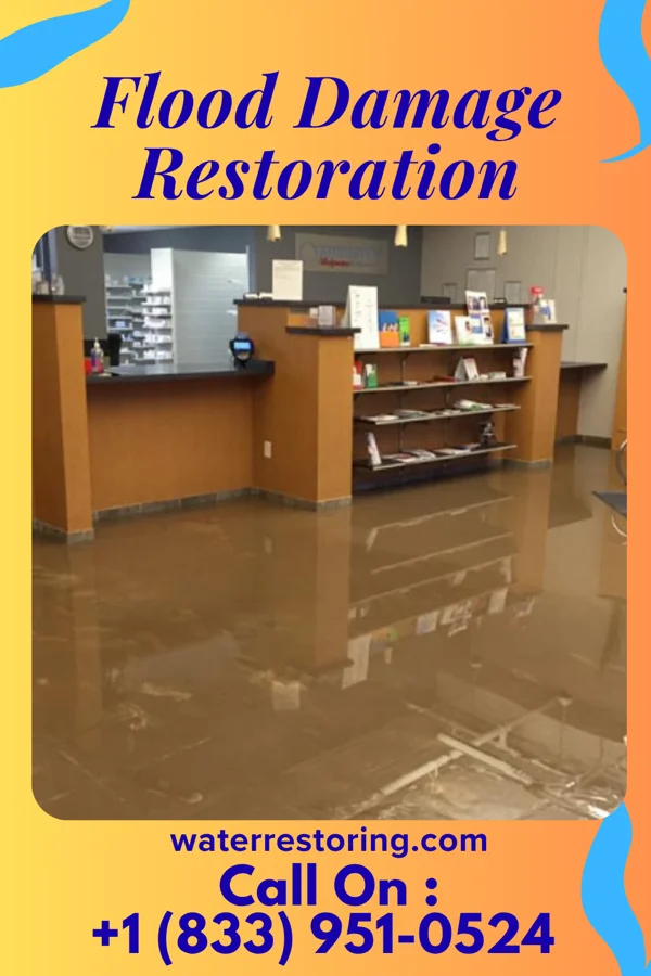 Flood Damage Restoration in Greilickville, MI