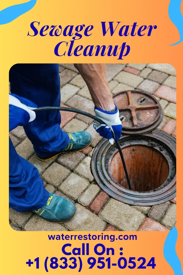 Sewage Water Cleanup in Greilickville, MI